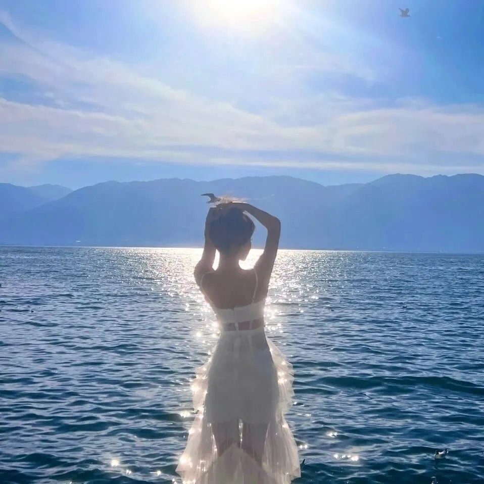 VOICE 110紧急指令室